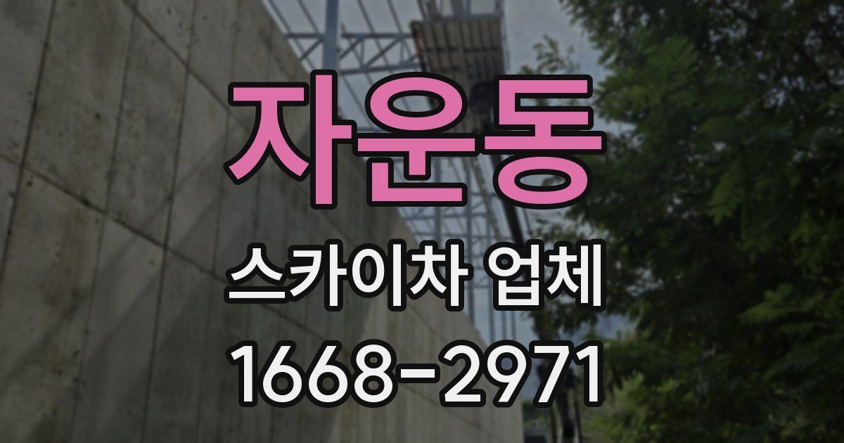 자운동 스카이차 업체