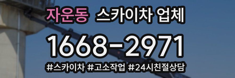 자운동 스카이차 업체