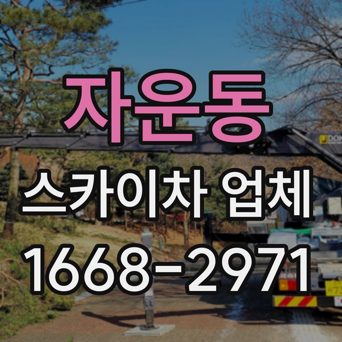 자운동 스카이차 업체