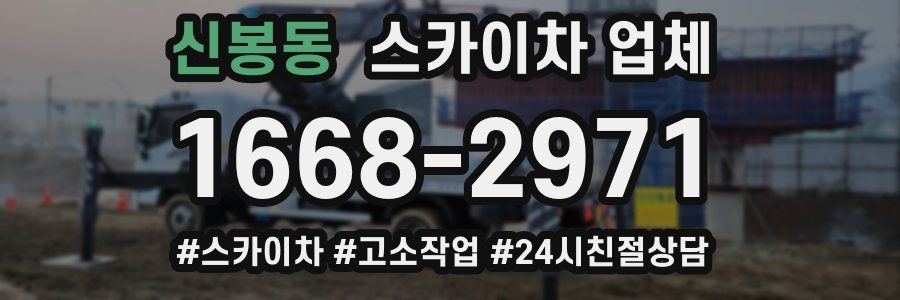 신봉동 스카이차 업체