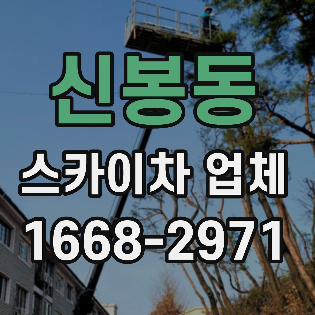 신봉동 스카이차 업체