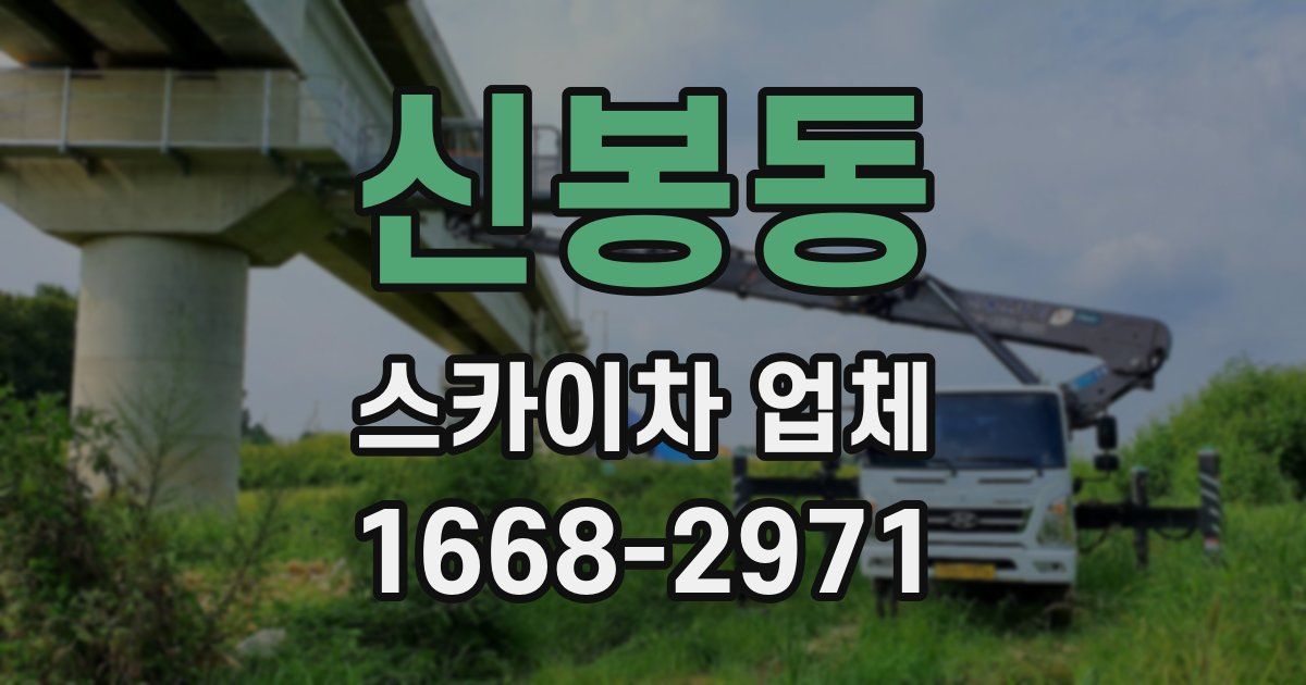 신봉동 스카이차 업체