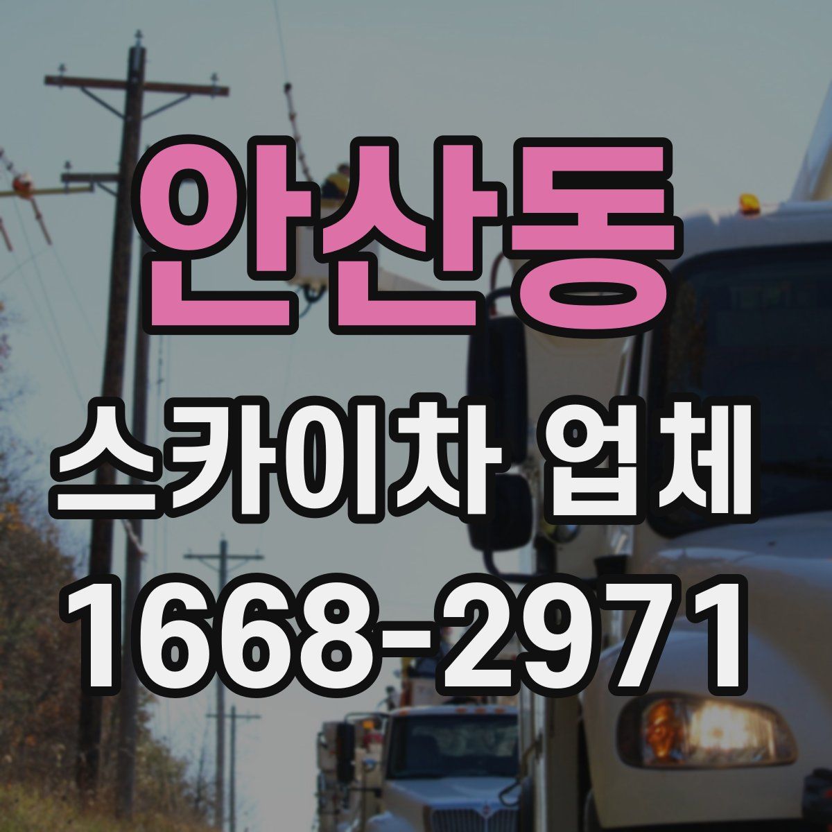 안산동 스카이차 업체