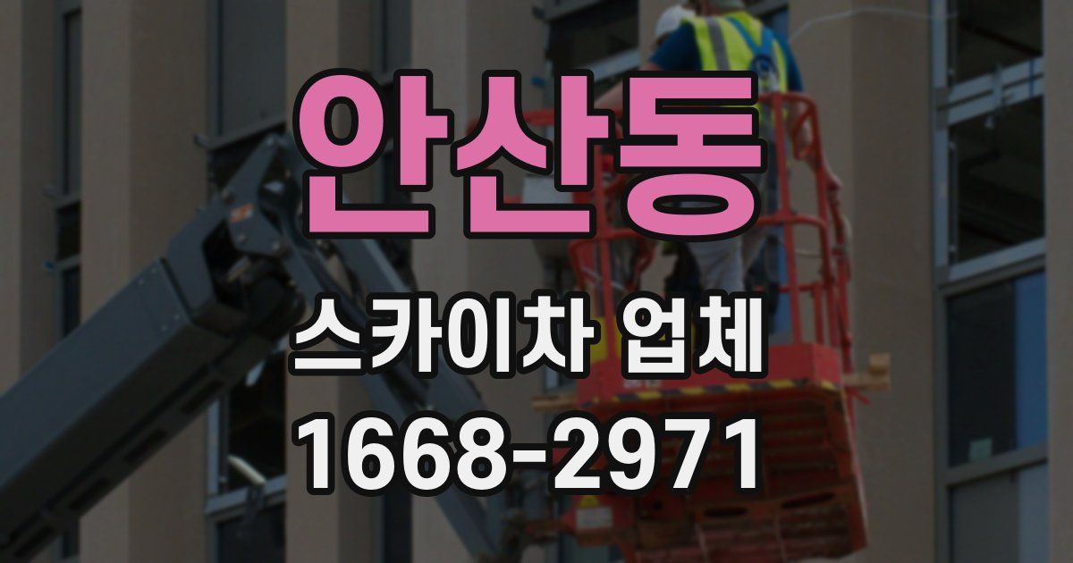 안산동 스카이차 업체