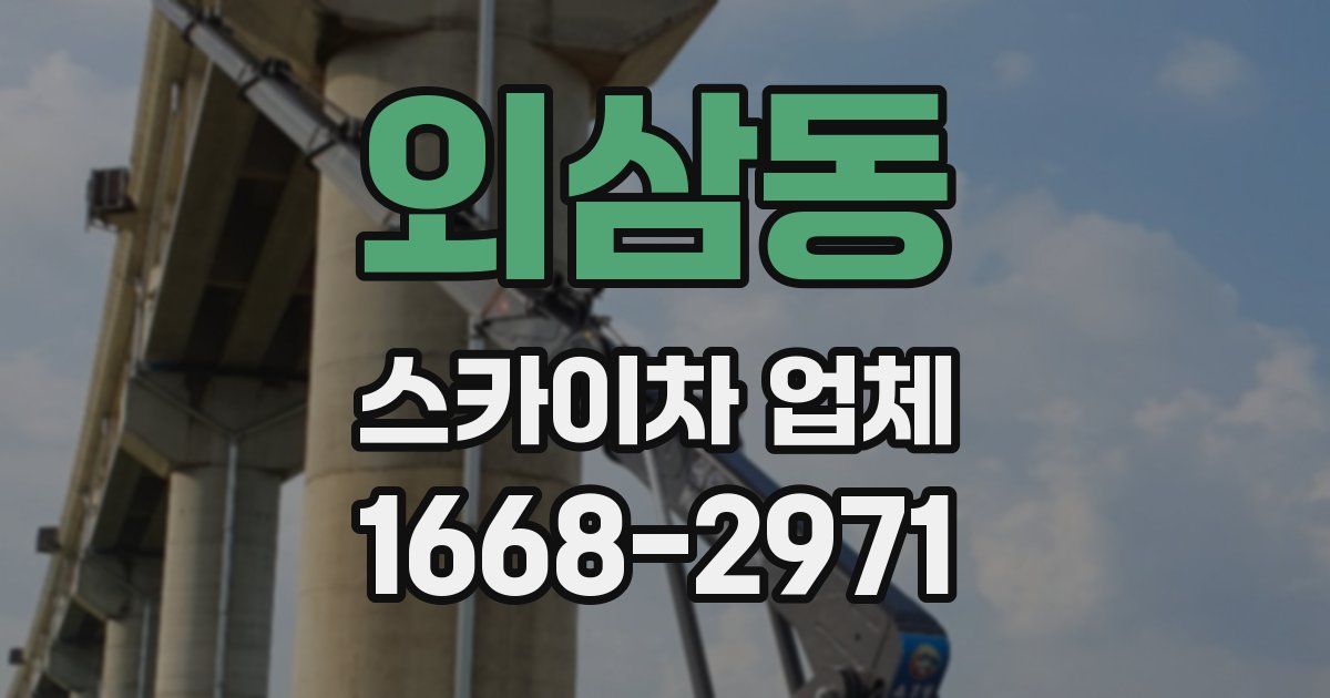 외삼동 스카이차 업체