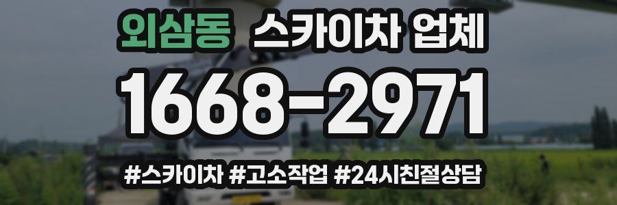 외삼동 스카이차 업체