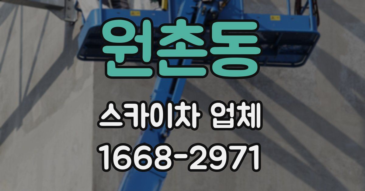 원촌동 스카이차 업체