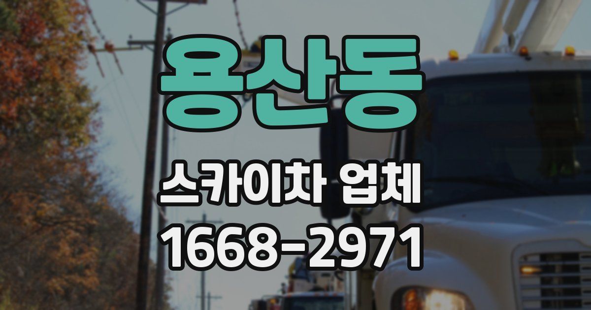 용산동 스카이차 업체