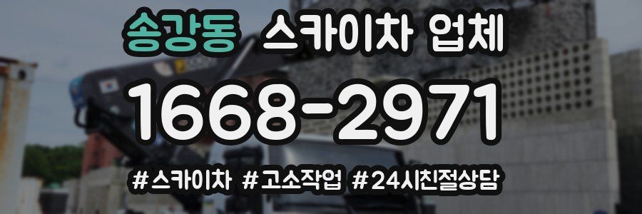 송강동 스카이차 업체