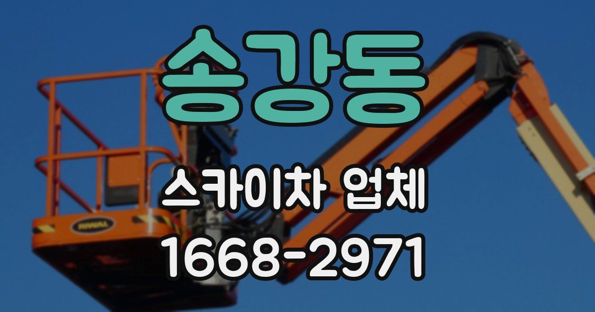 송강동 스카이차 업체