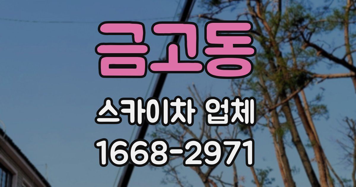 금고동 스카이차 업체