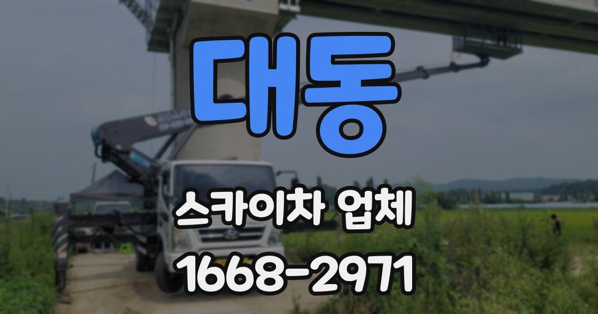 대동 스카이차 업체