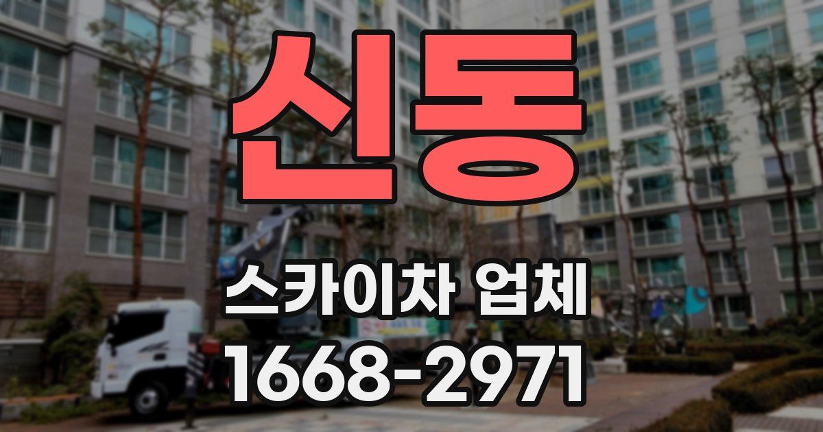 신동 스카이차 업체