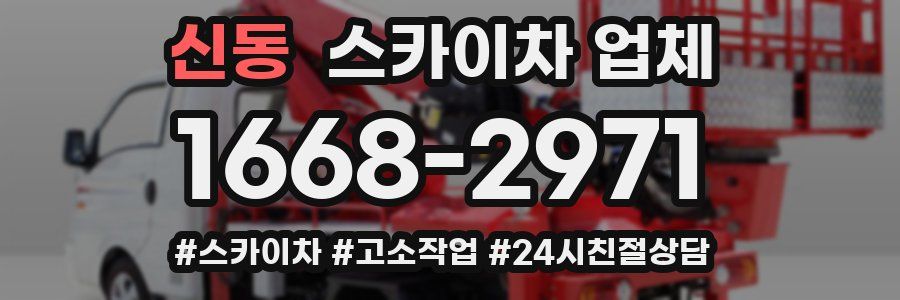 신동 스카이차 업체