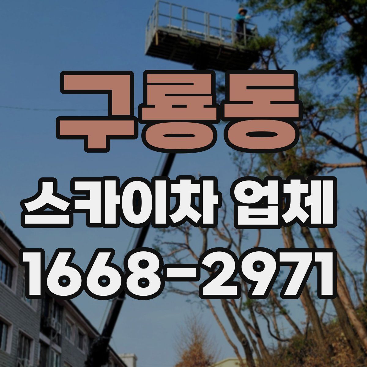 구룡동 스카이차 업체