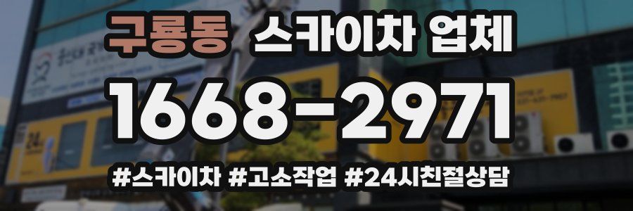 구룡동 스카이차 업체