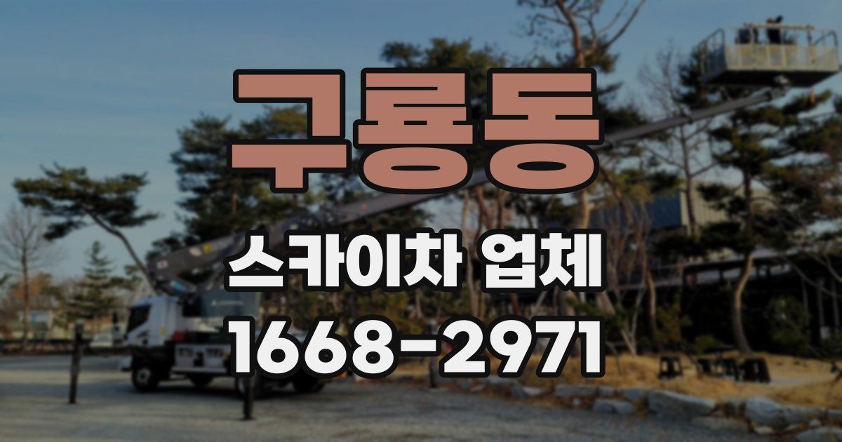 구룡동 스카이차 업체