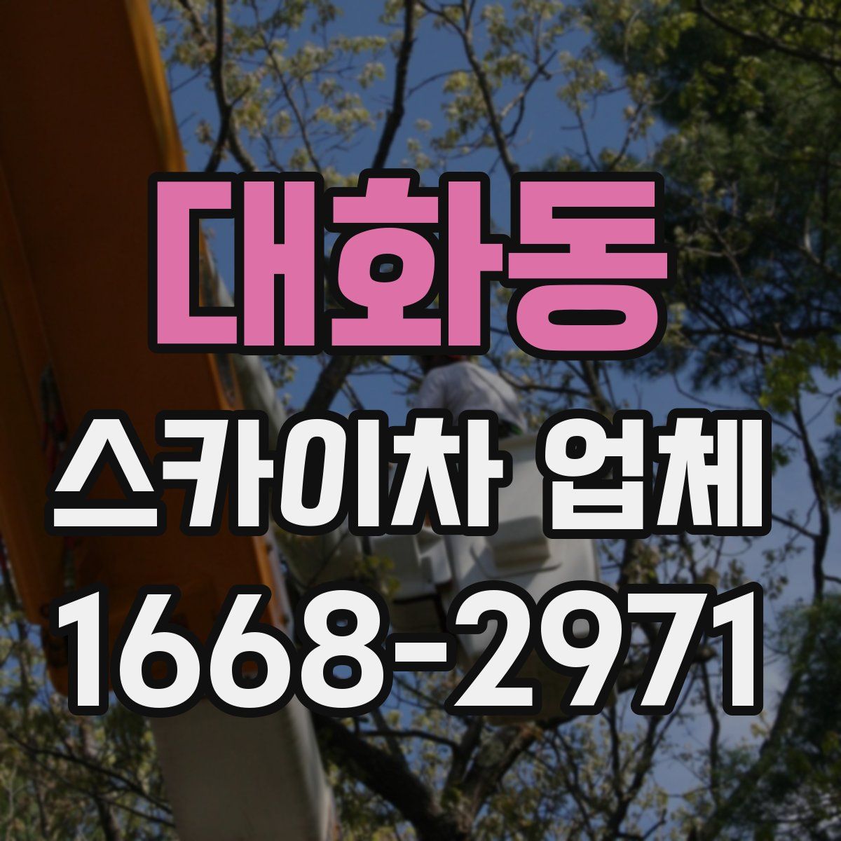 대화동 스카이차 업체
