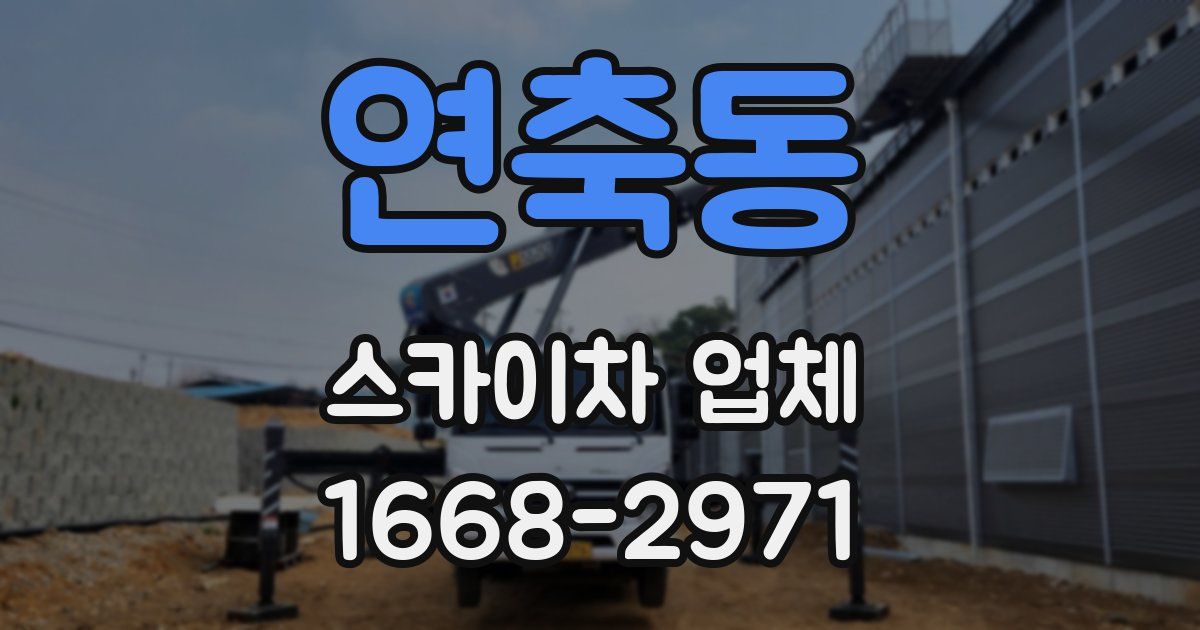 연축동 스카이차 업체