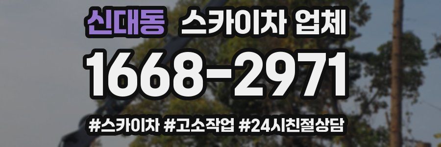 신대동 스카이차 업체