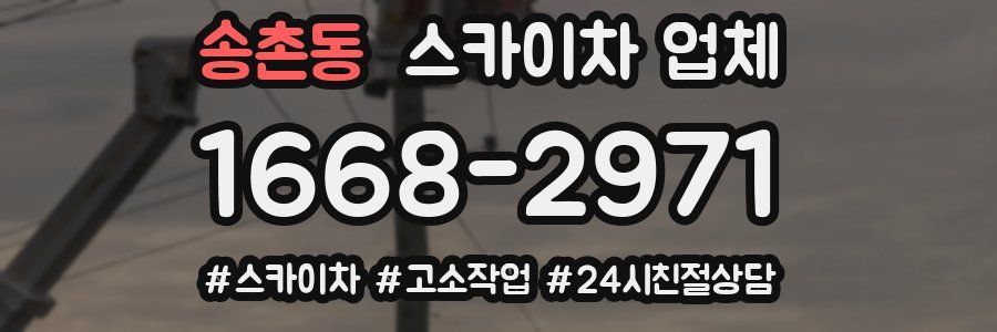 송촌동 스카이차 업체
