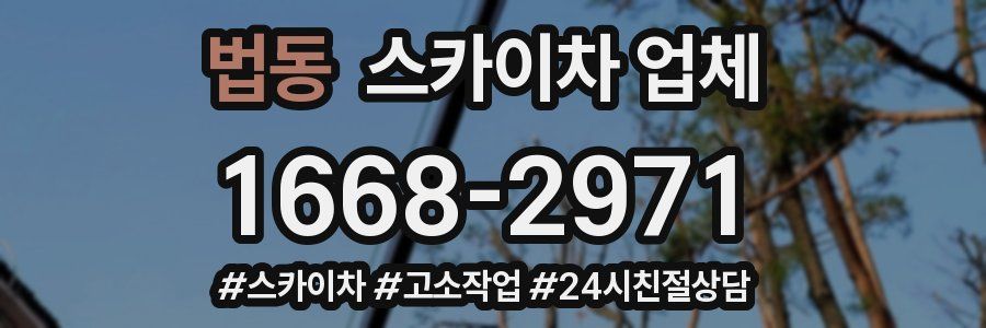 법동 스카이차 업체