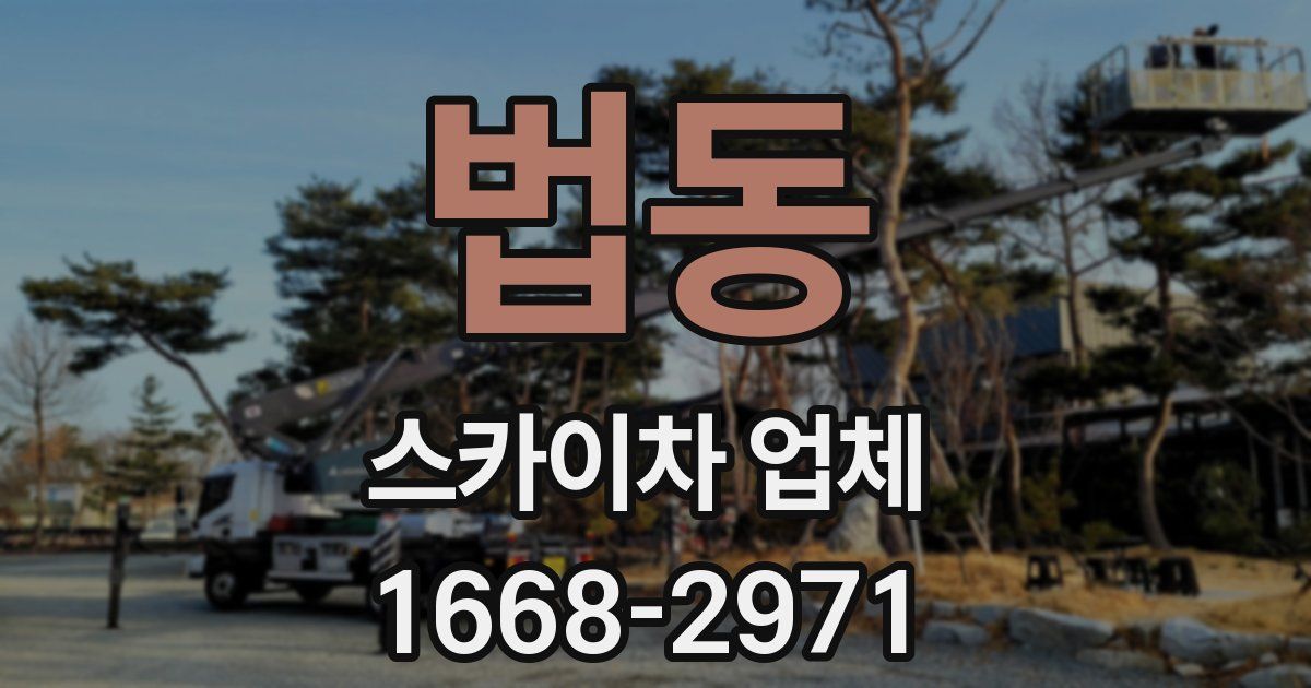 법동 스카이차 업체