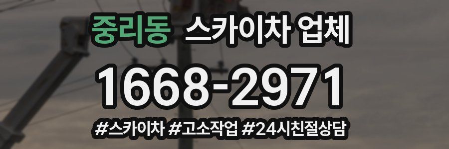 중리동 스카이차 업체