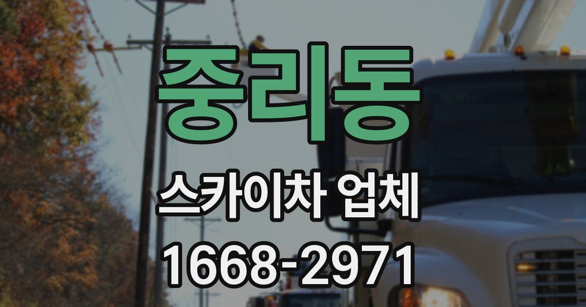 중리동 스카이차 업체
