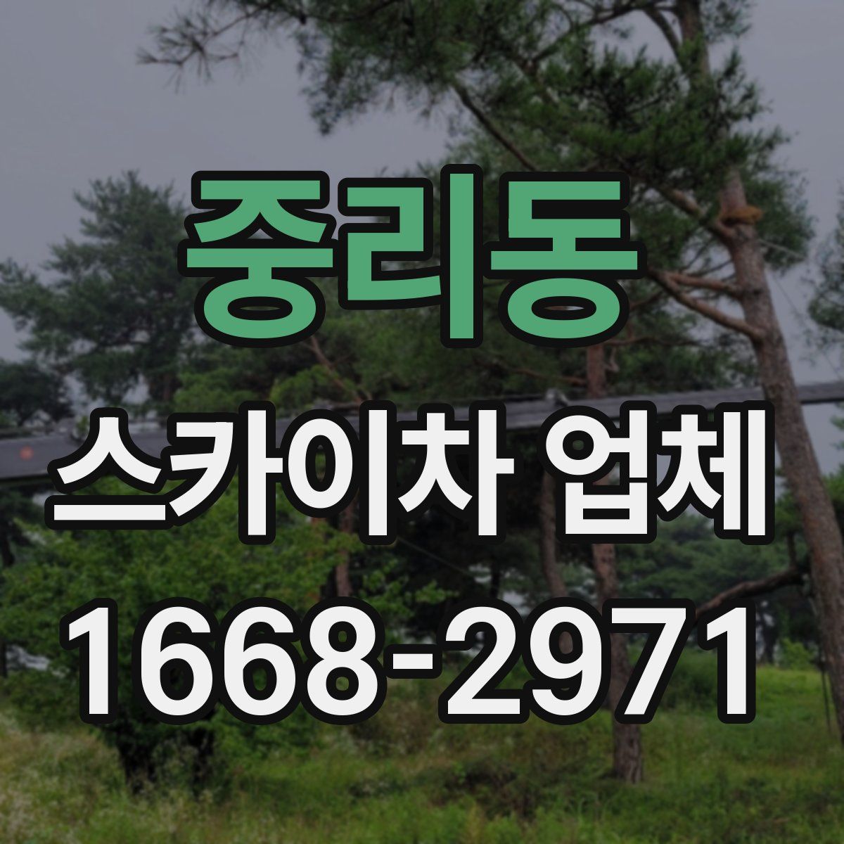 중리동 스카이차 업체