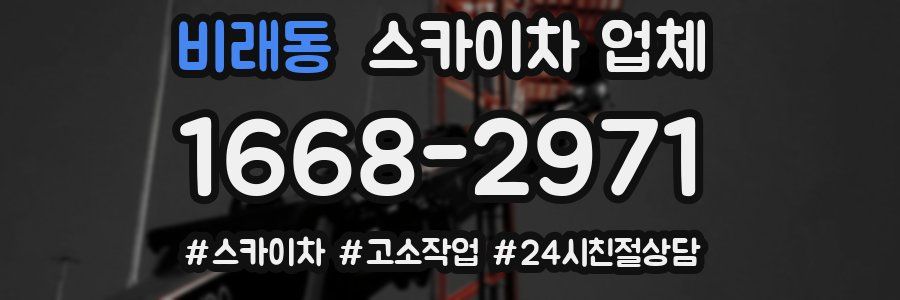 비래동 스카이차 업체