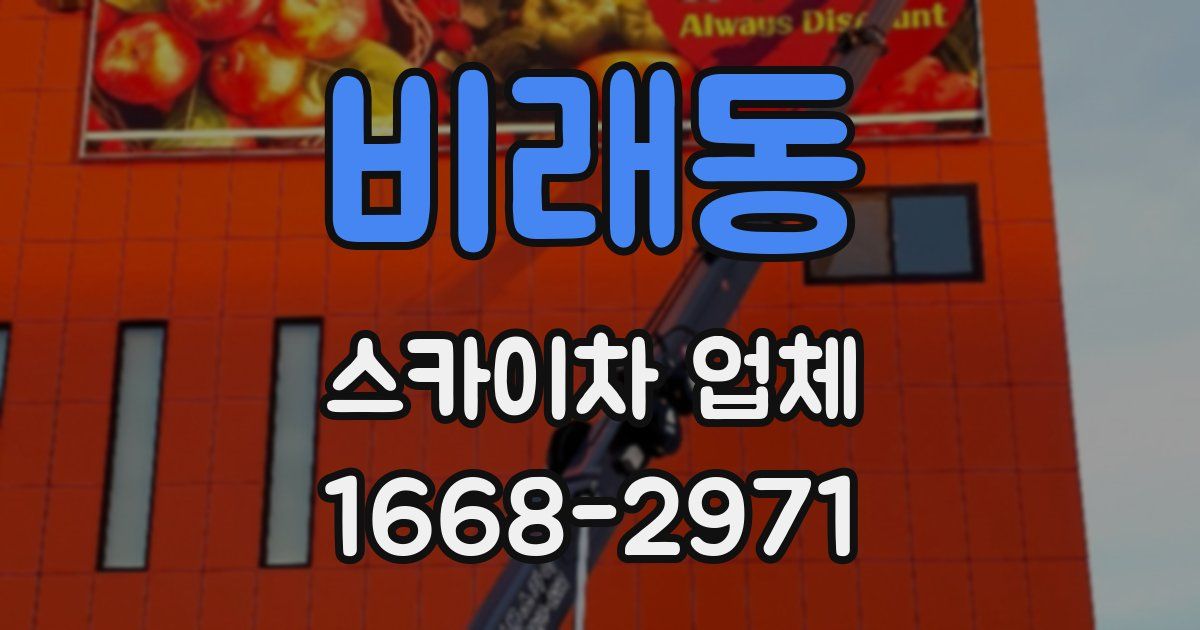 비래동 스카이차 업체
