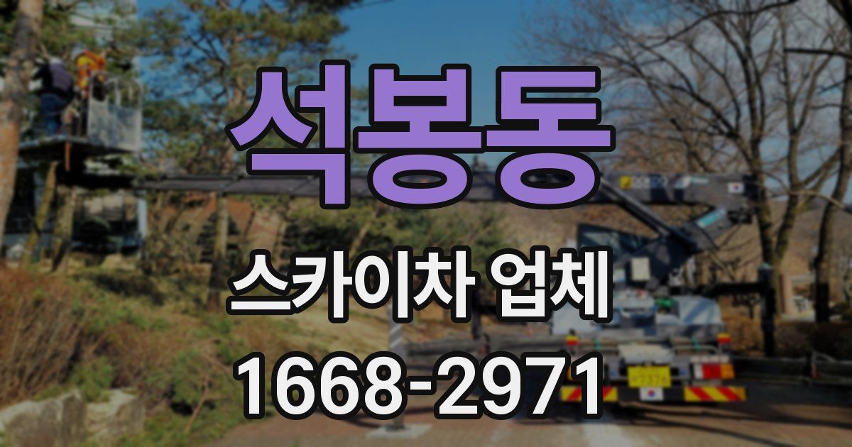 석봉동 스카이차 업체