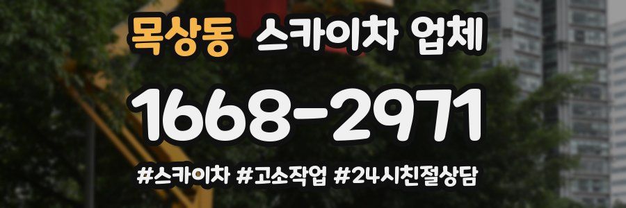 목상동 스카이차 업체