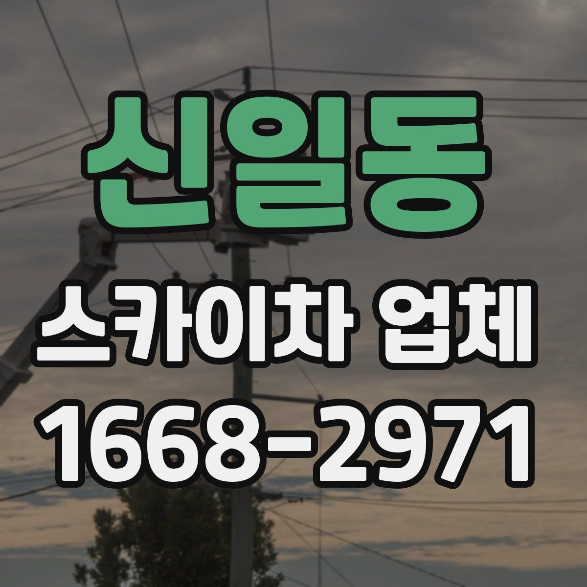 신일동 스카이차 업체