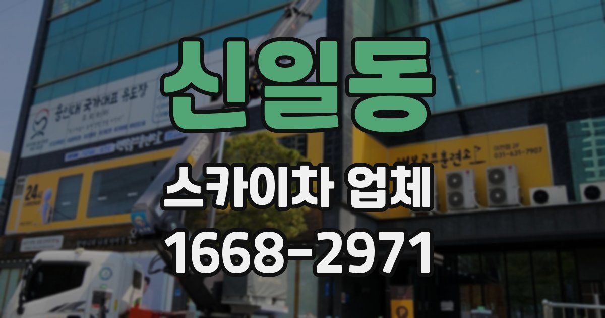 신일동 스카이차 업체