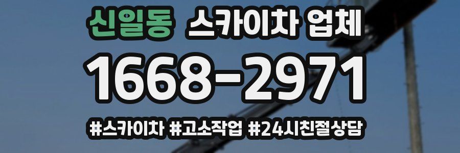 신일동 스카이차 업체