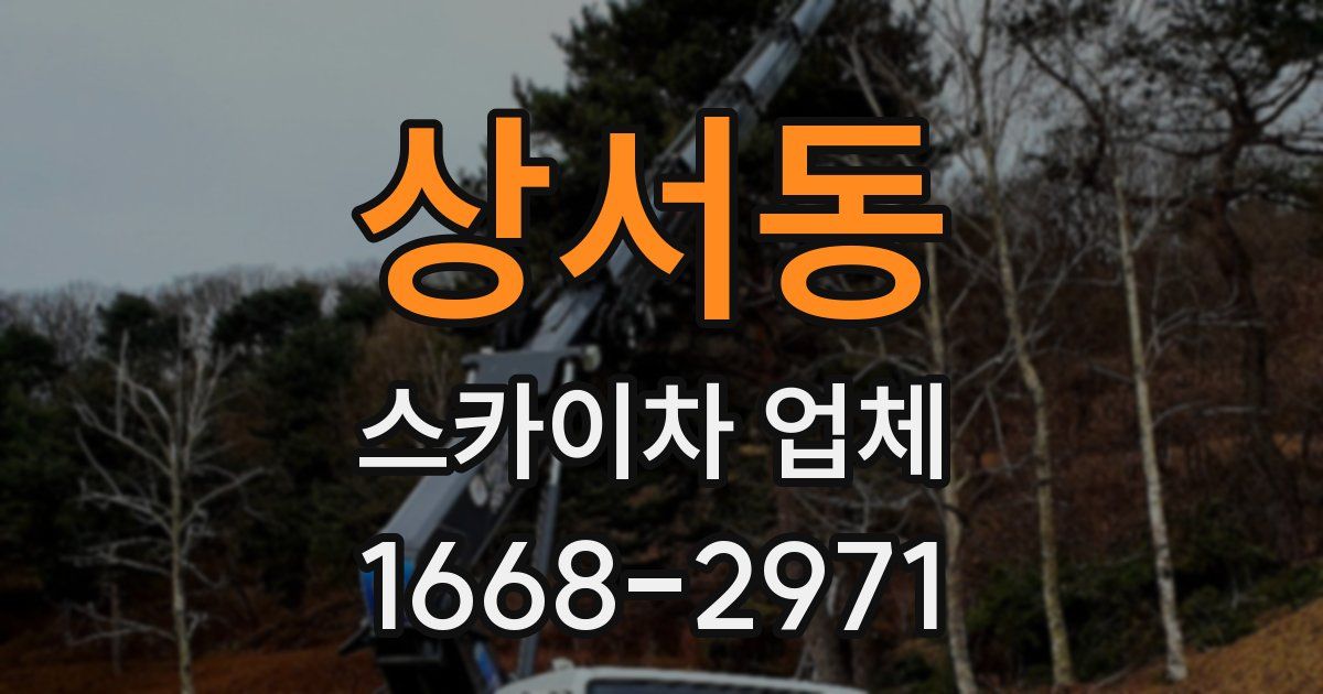 상서동 스카이차 업체
