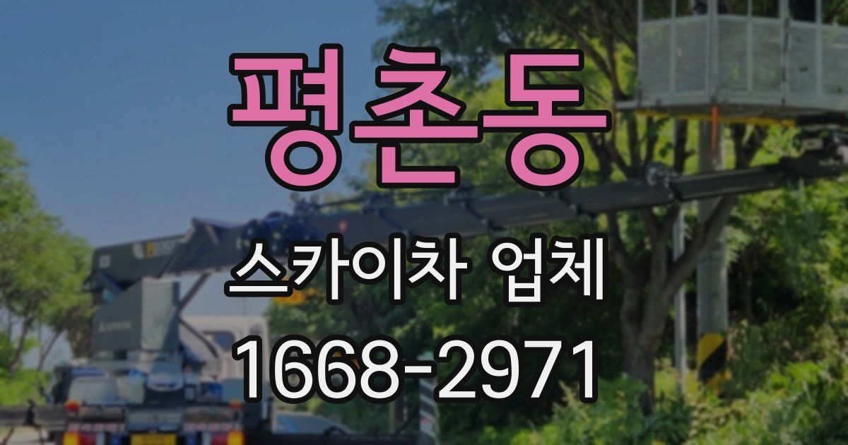 평촌동 스카이차 업체
