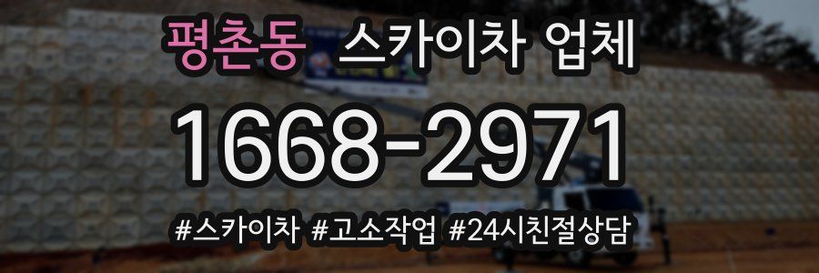 평촌동 스카이차 업체