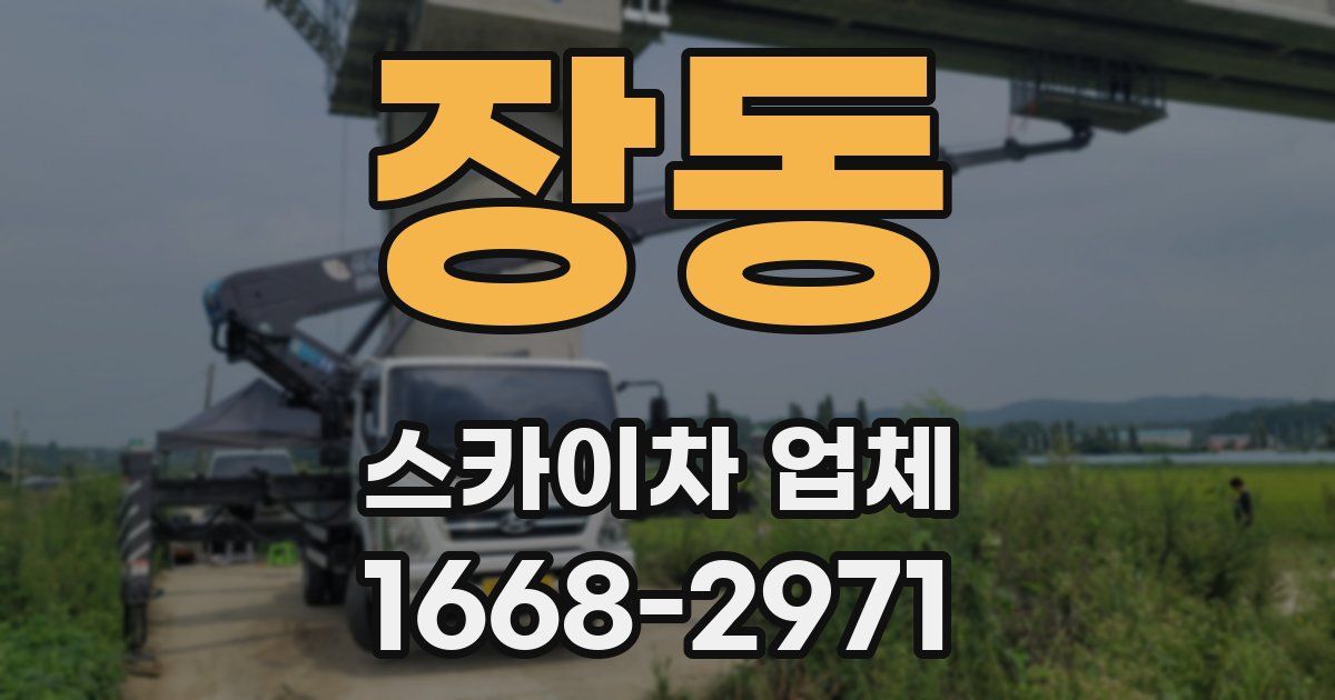 장동 스카이차 업체