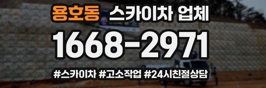 용호동 스카이차 업체
