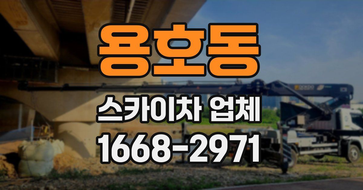 용호동 스카이차 업체
