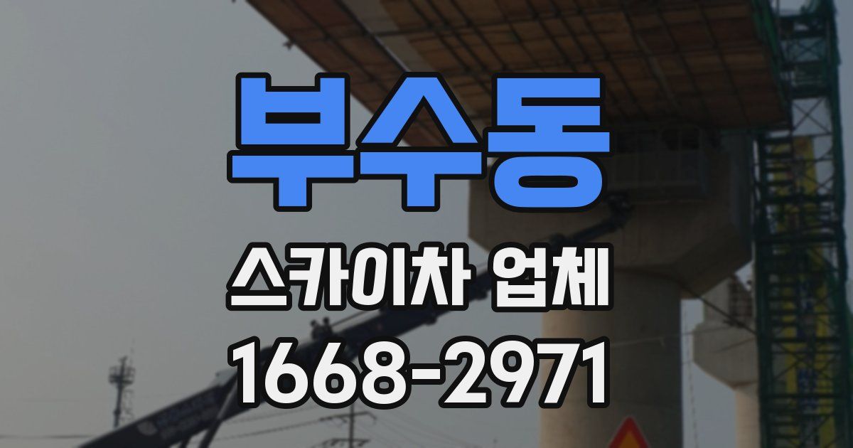 부수동 스카이차 업체
