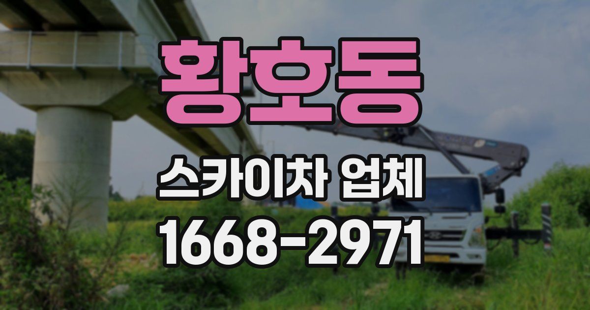 황호동 스카이차 업체
