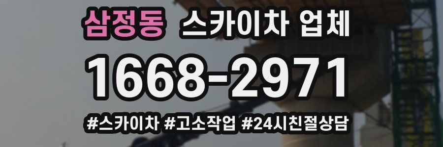 삼정동 스카이차 업체
