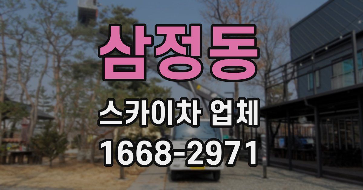 삼정동 스카이차 업체