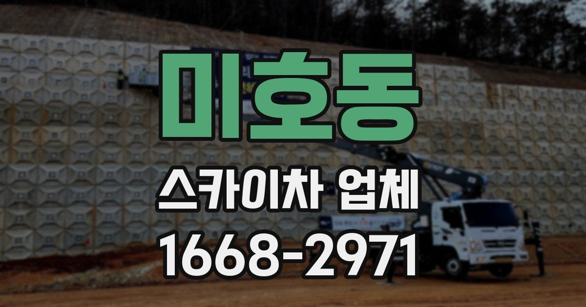 미호동 스카이차 업체