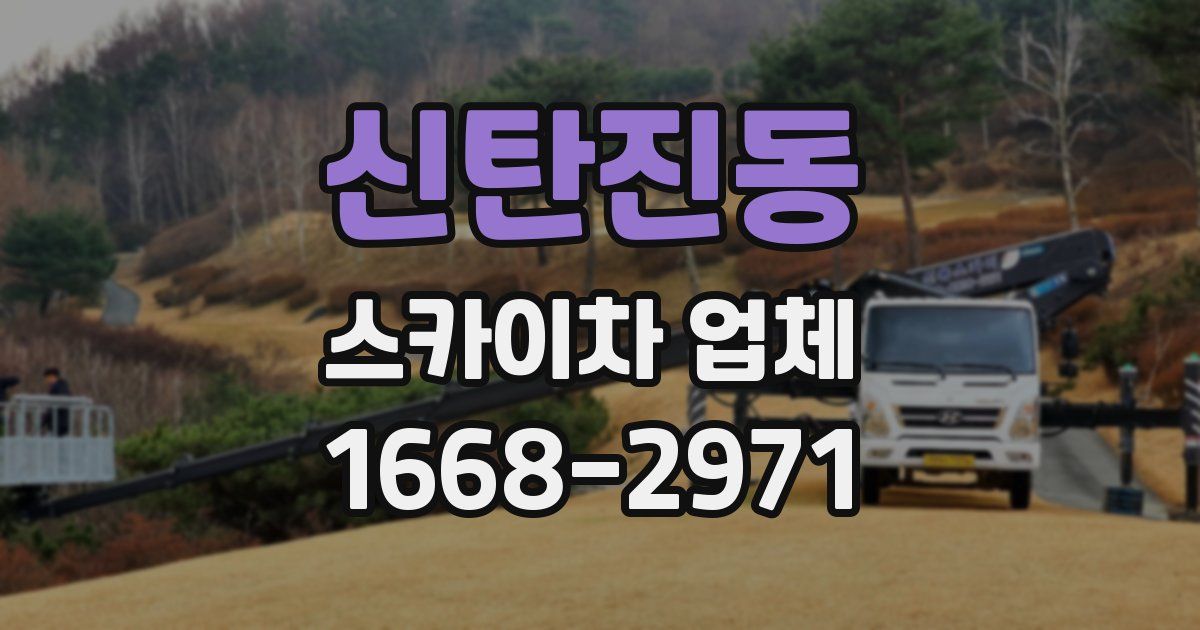 신탄진동 스카이차 업체