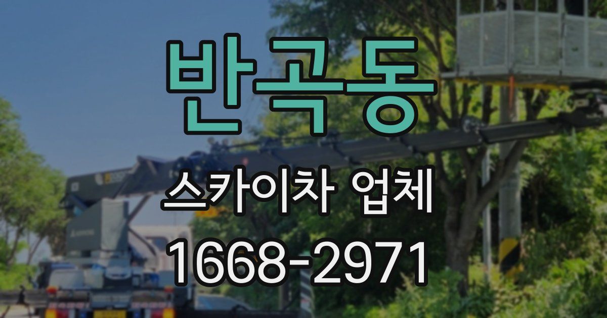 반곡동 스카이차 업체